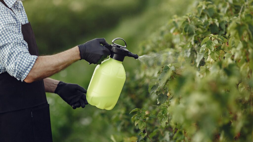 Nova ferramenta da ANVISA para avaliação toxicológica de agrotóxicos digitaliza e acelera processos regulatórios.