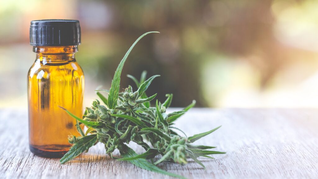 ANVISA propõe atualização da RDC 327/2019 em nova consulta pública sobre cannabis medicinal.
